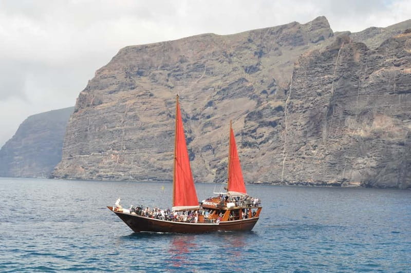 Adeje: Whale Watching, Lunch & Swim Stop at Los Gigantes - The whale watching portion off Tenerife’s southwest coast