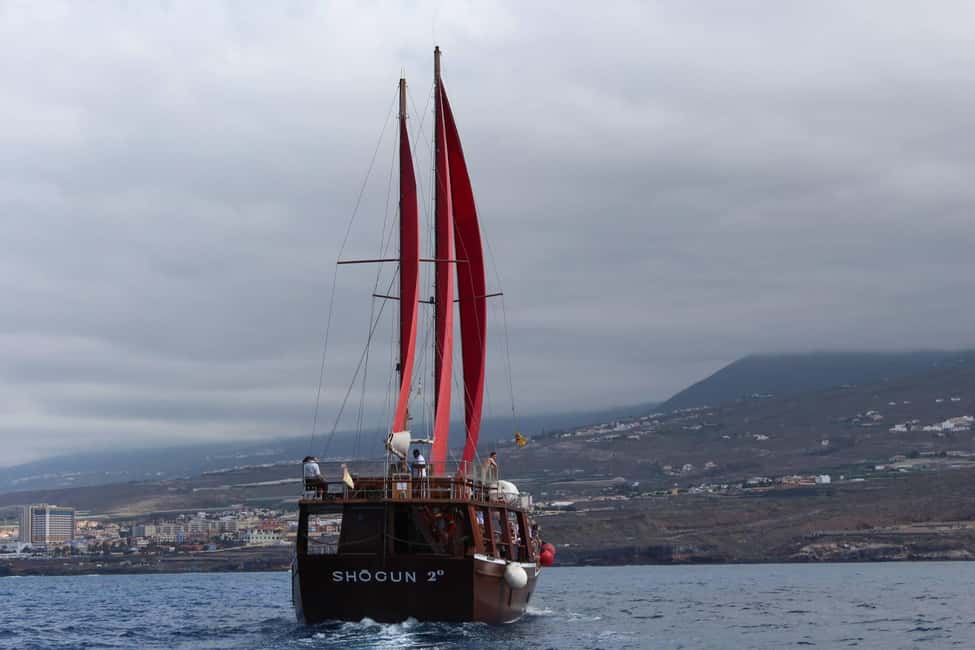 Adeje: Whale Watching, Lunch & Swim Stop at Los Gigantes - Sea conditions, seasickness, and the real comfort checklist
