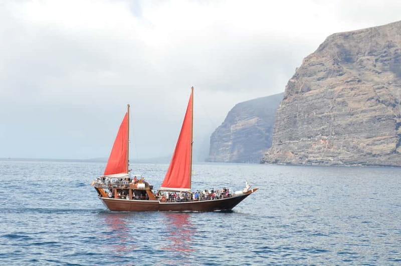 Adeje: Whale Watching, Lunch & Swim Stop at Los Gigantes - Who this cruise is best for (and who should reconsider)
