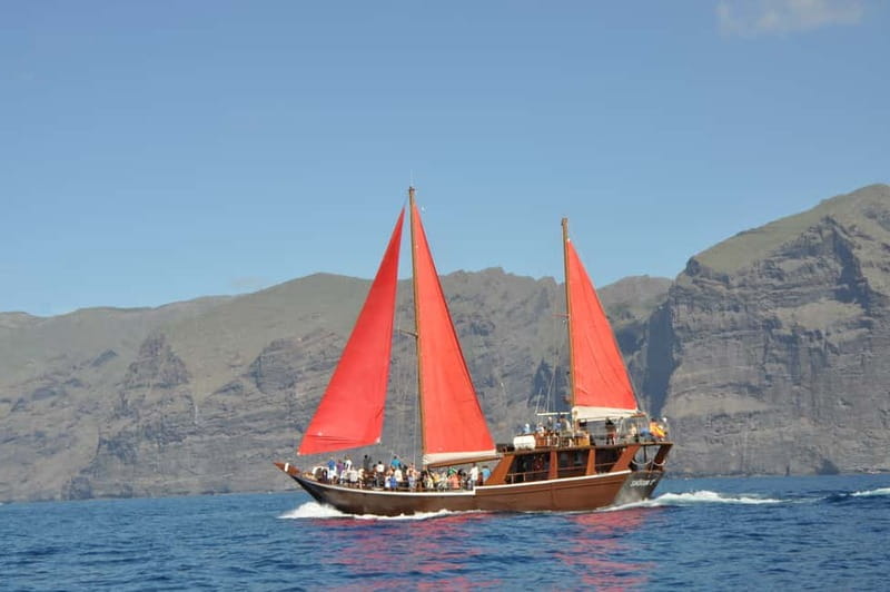 Adeje: Whale Watching, Lunch & Swim Stop at Los Gigantes - Price and value: why $64 can feel like a lot or a steal