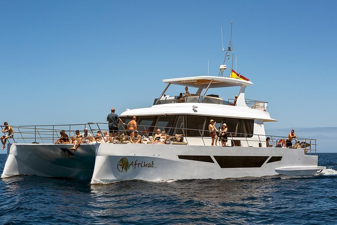 Afrikat Afternoon Cruise - Hotel pickup in the south: easy when it matches your location