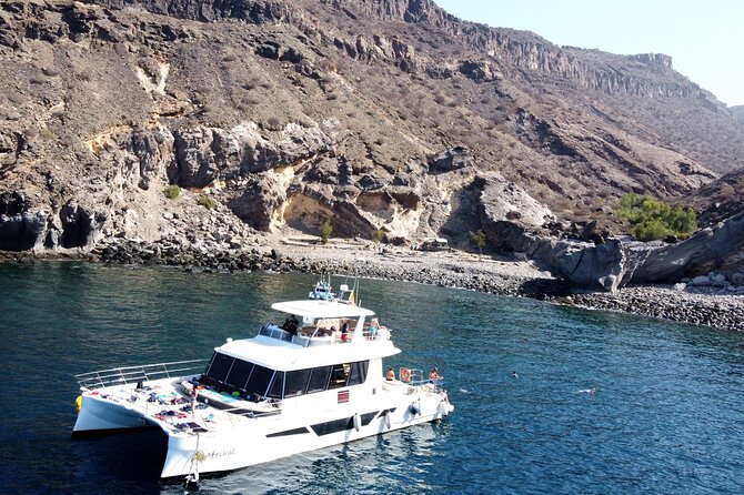 Afrikat Morning Cruise - Key highlights you’ll actually use