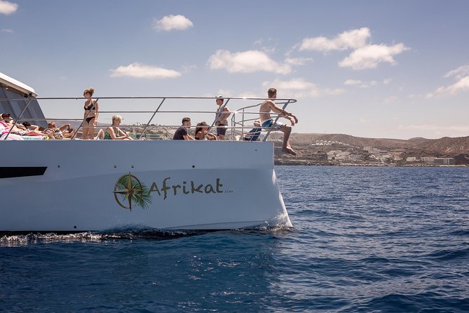 Afrikat Morning Cruise - Price and value: why $90.70 can make sense on Gran Canaria
