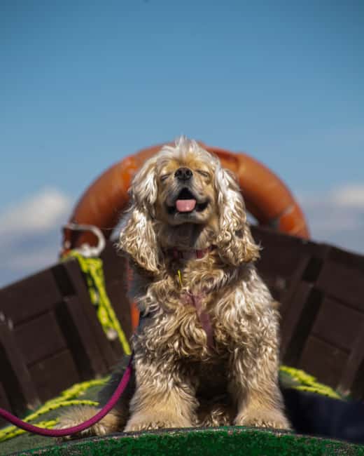 Albufera de Valencia: boat ride and visit to a barraca - FAQ