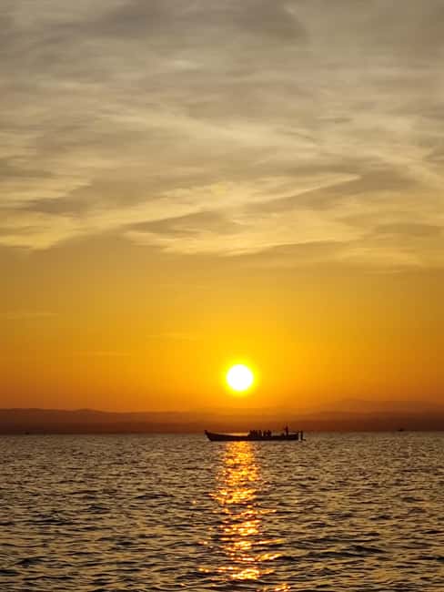 Albufera: Sunset and visit to the barraca - Key things that make this Albufera tour worth it