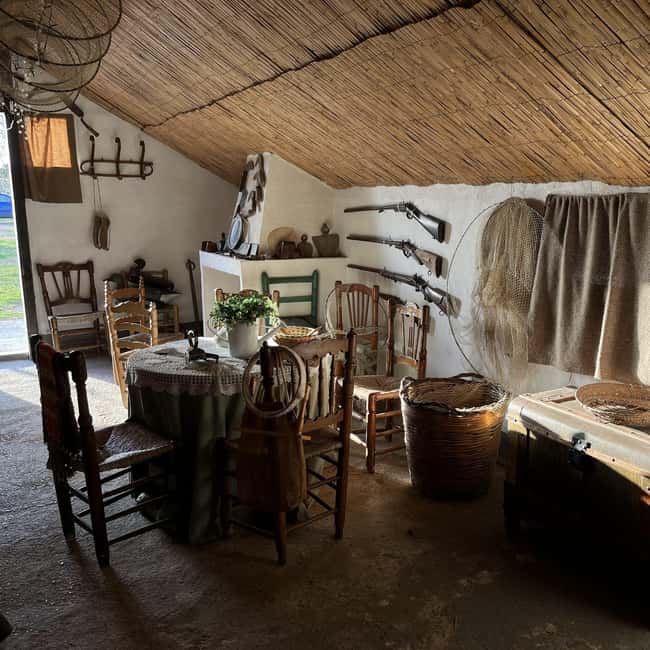 Albufera: Sunset and visit to the barraca - Things to set expectations for