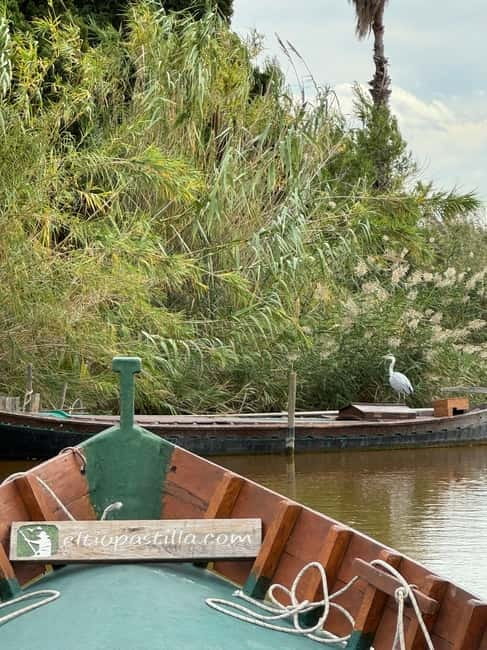 Albufera Valencia: Guided electric boat ride, also at sunset - Key things that make this Albufera electric boat tour worth it