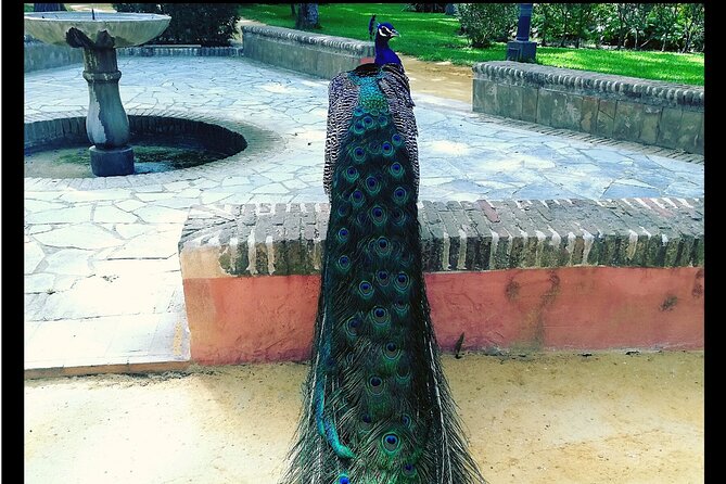 Alcazar and Cathedral of Seville Private Tour - How Much Is It Really Worth? (Price in Real-Life Terms)