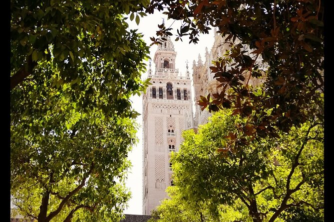 Alcazar and Cathedral of Seville Private Tour - Real Alcázar: 90 Minutes That Feel Like More (If You Know What to Watch)
