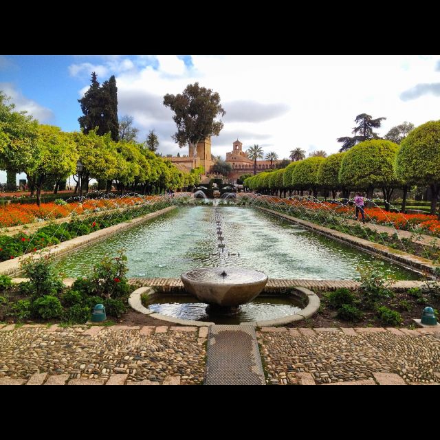 Alcazar of Cordoba Entry Ticket and Guided Tour - Salon de los Mosaicos: the room you’ll want to see twice