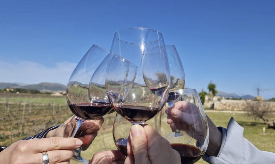 Alcúdia/Can Picafort: Guided Vineyard Visit and Wine Tasting - Mallorca Vineyard Tasting near Alcúdia: the small-winery advantage