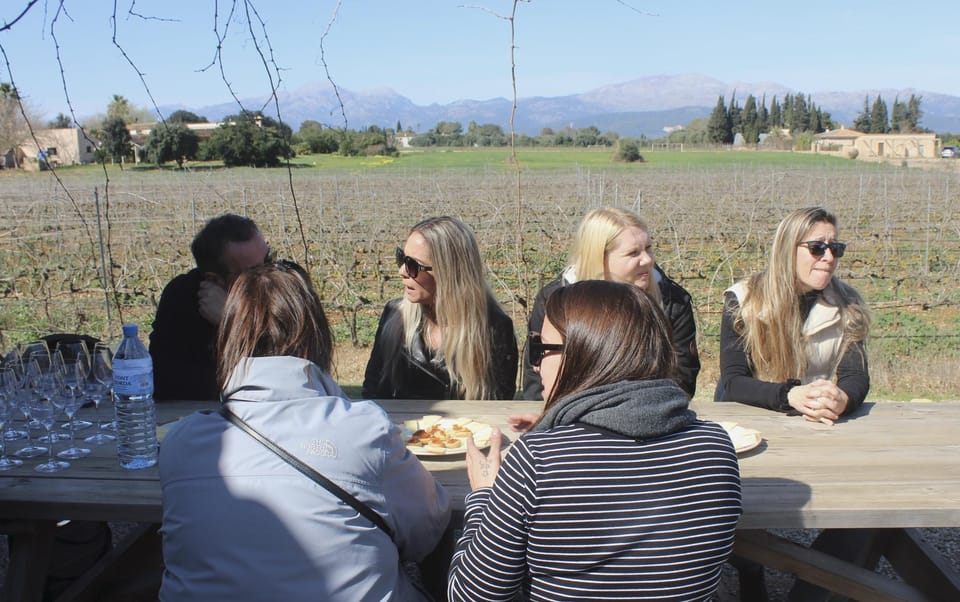Alcúdia/Can Picafort: Guided Vineyard Visit and Wine Tasting - Price and value: is $58 a good deal?