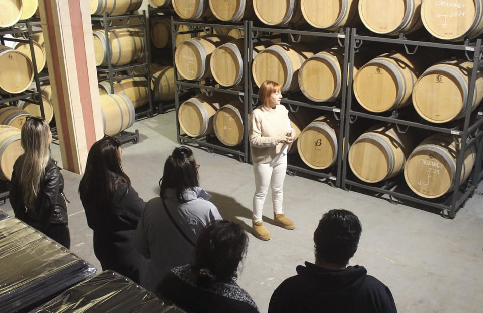 Alcúdia/Can Picafort: Guided Vineyard Visit and Wine Tasting - Who should book this Alcúdia wine tour—and who might skip it