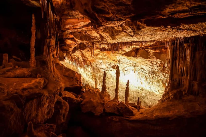 Alcudia: Caves of Drach Tour from the North with Boat Trip - Lake Martel Concert: Classical Music in an Underground Amphitheatre