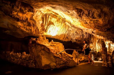 Alcudia: Caves of Drach Tour from the North with Boat Trip - The 5-Hour Schedule: Coach Pickup to Two Hours Underground