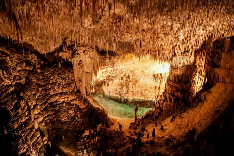 Alcudia: Caves of Drach Tour from the North with Boat Trip - The Lake Martel Boat Trip: Great If It Runs