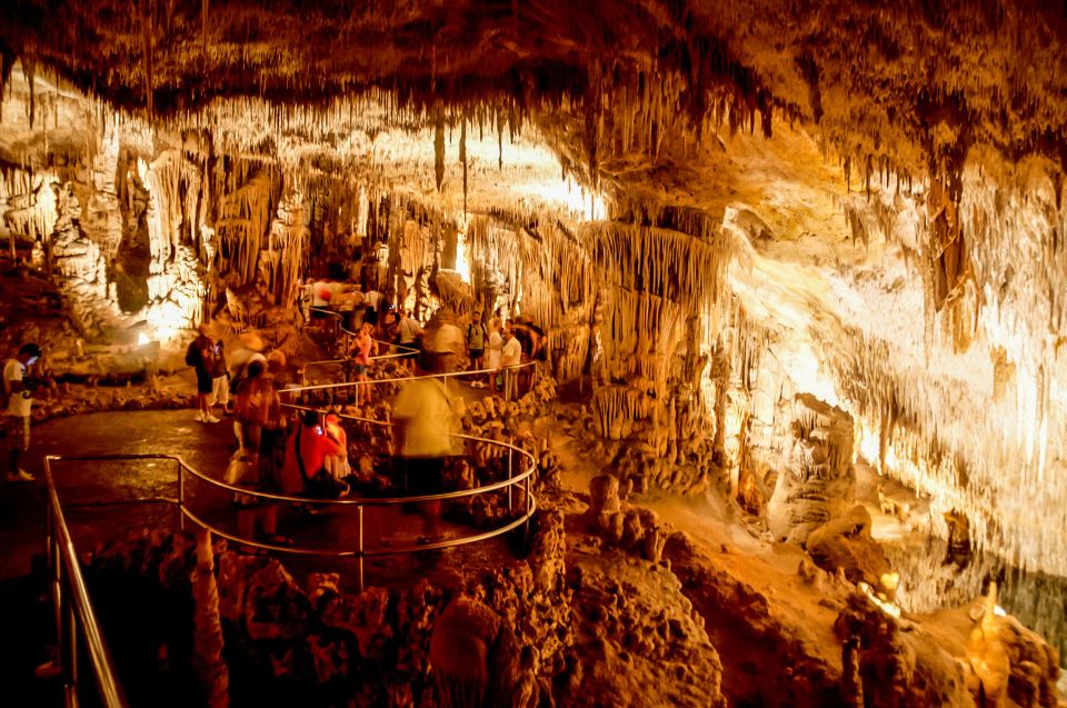 Alcudia: Caves of Drach Tour from the North with Boat Trip - Porto Cristo and Other Quick Stops: Nice Add-On Time