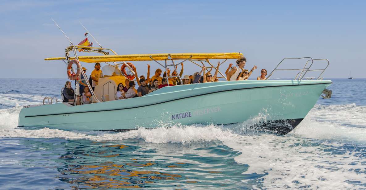 Alcudia: Coll Baix Beach & Sea Caves Cruise with Snorkeling - Cruising Past the Sea Caves: How the Boat Viewing Really Feels