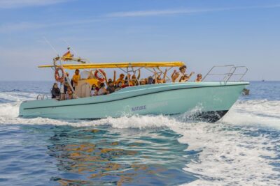 Alcudia: Coll Baix Beach & Sea Caves Cruise with Snorkeling - Coll Baix Beach Stop: Snorkeling and Paddleboarding in a Protected Cove