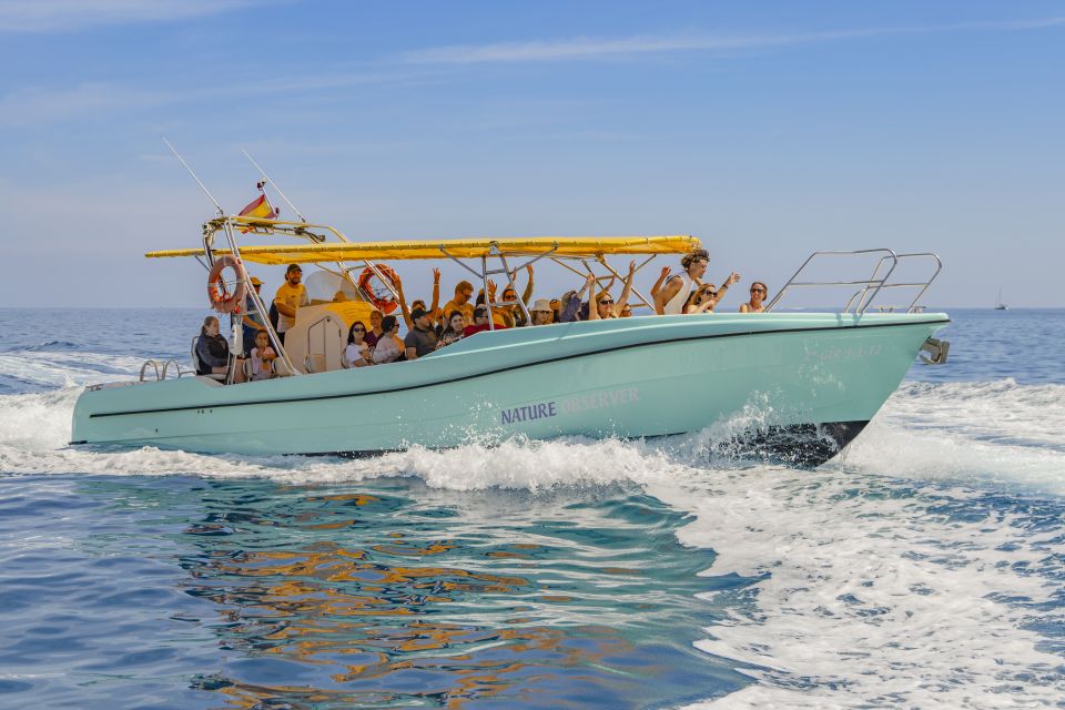Alcudia: Coll Baix Beach & Sea Caves Cruise with Snorkeling - Coll Baix Beach Stop: Snorkeling and Paddleboarding in a Protected Cove