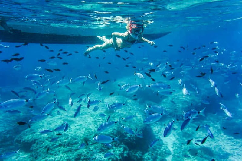 Alcudia: Formentor Beach, Lighthouse Cruise, and Small Group - Key highlights at a glance