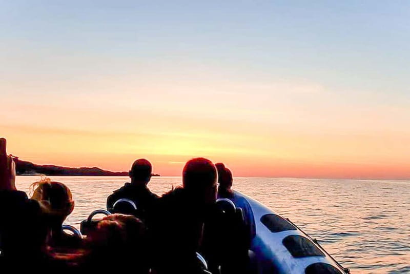 Alcudia: Formentor Beach, Lighthouse Cruise, and Small Group - Cap Pinar Snorkeling: Clear Water, Real Gear, and Practical Expectations