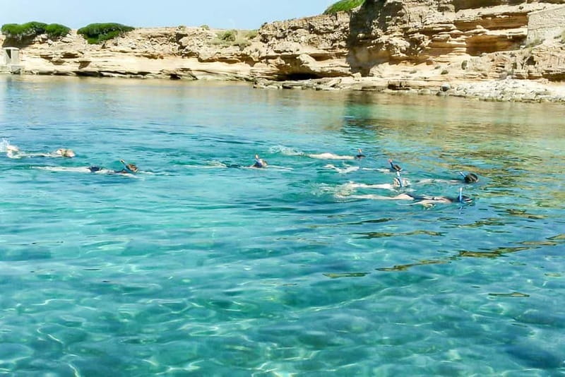 Alcudia: Formentor Beach, Lighthouse Cruise, and Small Group - Value at Around $94: What You’re Really Paying For