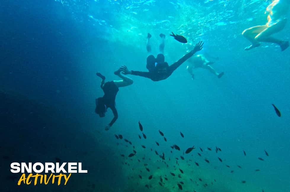 Alcudia: Kayak Tour with Snorkel & Sea Cave Swim - Snorkeling time in North Mallorca’s calmer bays