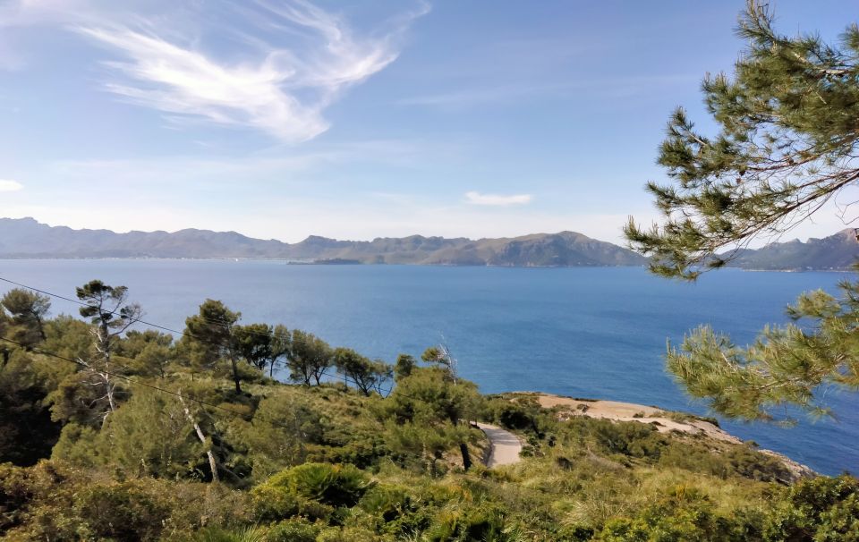 Alcudia: Quad Sightseeing Tour with Viewpoints - Bon Aire and Pollensa Bay: the part that turns the dial from fun to memorable