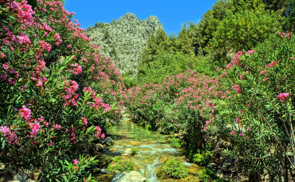 Algar Waterfalls Coach Trip - From Albir & Benidorm - Busy season timing: how to enjoy Algar when it’s crowded