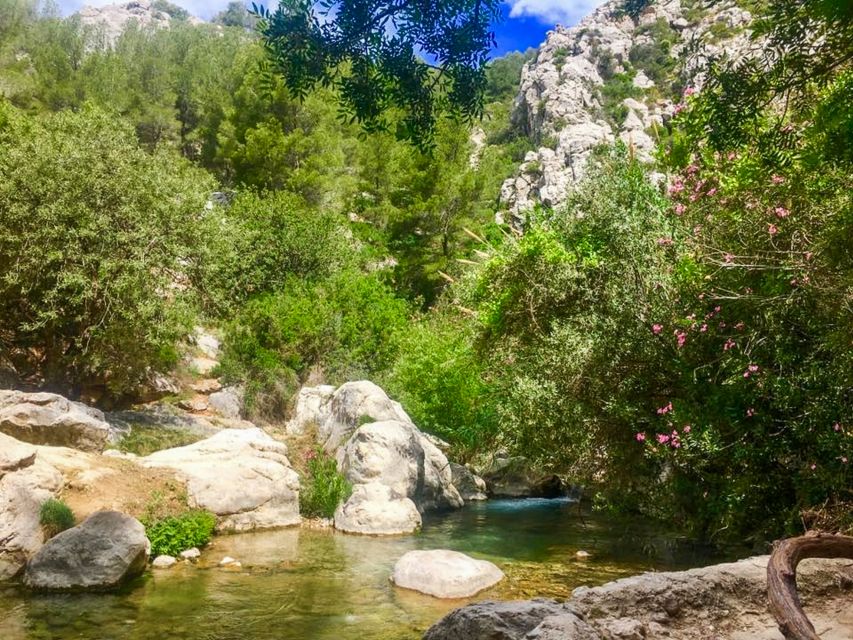 Algar Waterfalls Coach Trip - From Albir & Benidorm - Who this Algar coach trip suits best (and who should pass)