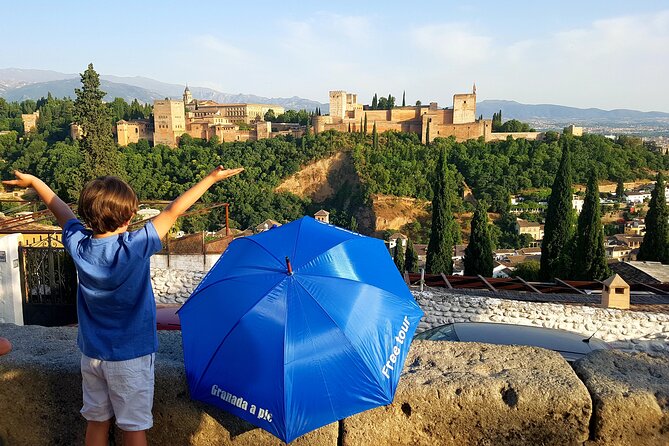 Alhambra, Generalife & Nasrid Palaces Guided Tour in Granada - Price and Value: What $61.21 Buys You Here