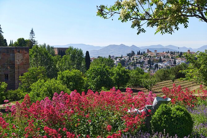 Alhambra & Generalife Skip the Line Premium Tour including Nasrid Palaces - Choosing your language and dealing with fixed timing