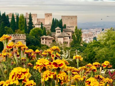 Alhambra: Guided Private Tour with Fast-Track Entry - Getting oriented at the Pabellón de Acceso a la Alhambra