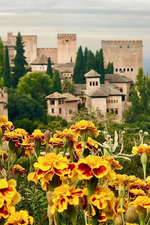Alhambra: Guided Private Tour with Fast-Track Entry - Palace of Charles V: the contrast stop