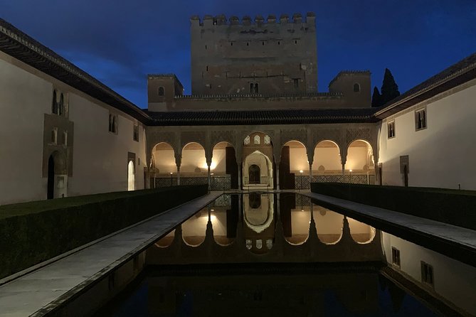 Alhambra: Night Visit to Nasrid Palaces - Entering the Nasrid Palaces: what you’ll experience after dark