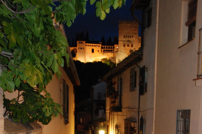 Alhambra: Night Visit to Nasrid Palaces - Who this night visit suits best
