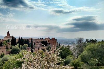 Alhambra Private Tour: Nasrid Palaces and Generalife - Meeting at the Generalife Ticket Office: Getting Oriented Fast