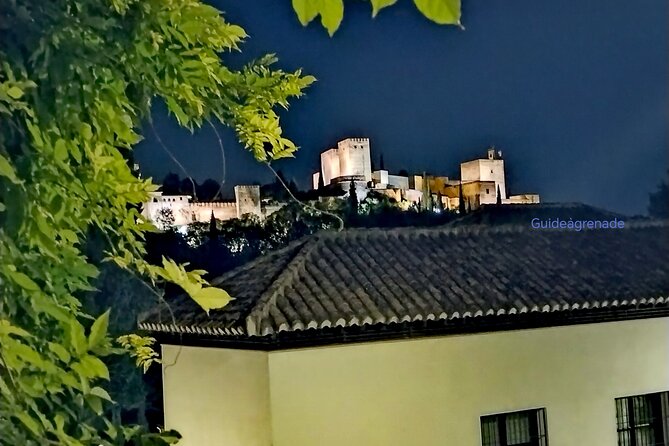 Alhambra Private Tour: Nasrid Palaces and Generalife - Small Practical Tips That Make This Tour Feel Easier