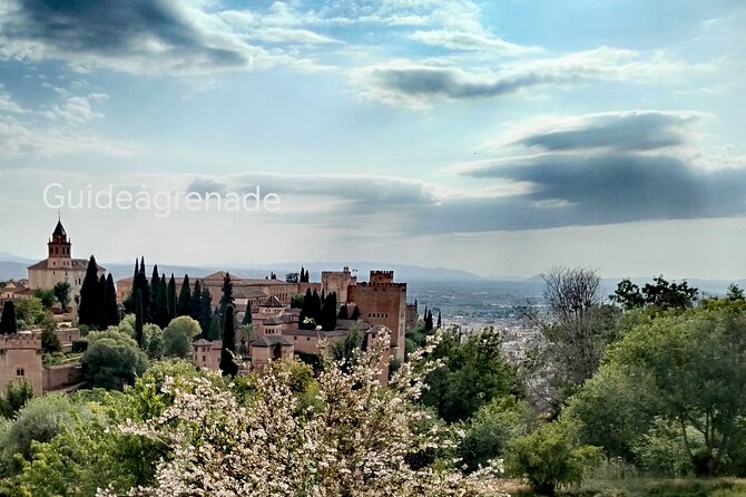 Alhambra Private Tour: Nasrid Palaces and Generalife - Meeting at the Generalife Ticket Office: Getting Oriented Fast