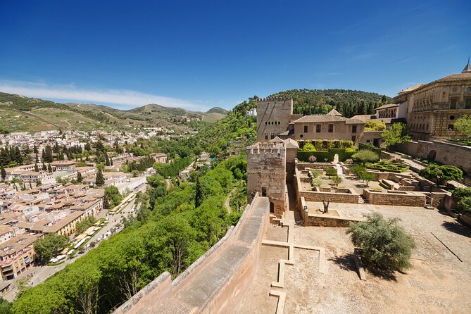 Alhambra Ticket and Guided Tour with Nasrid Palaces - Price and value: what $59.13 buys you here