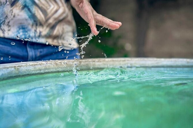 Alhambra Ticket Last Minute Deals - Stop 4: Generalife Gardens—the calm break that earns its spot