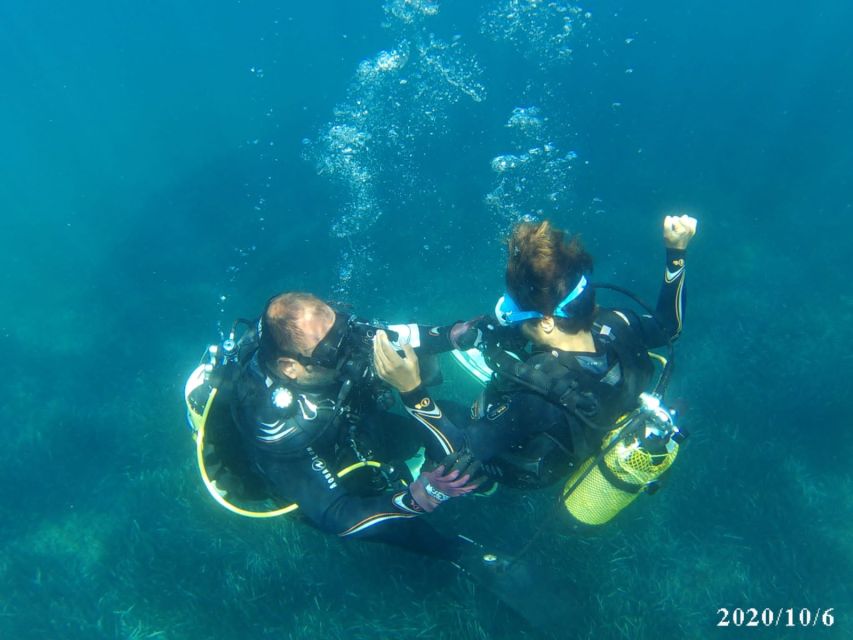 Alicante: Denia Beginners Scuba Diving Experience - Key things to know before you go