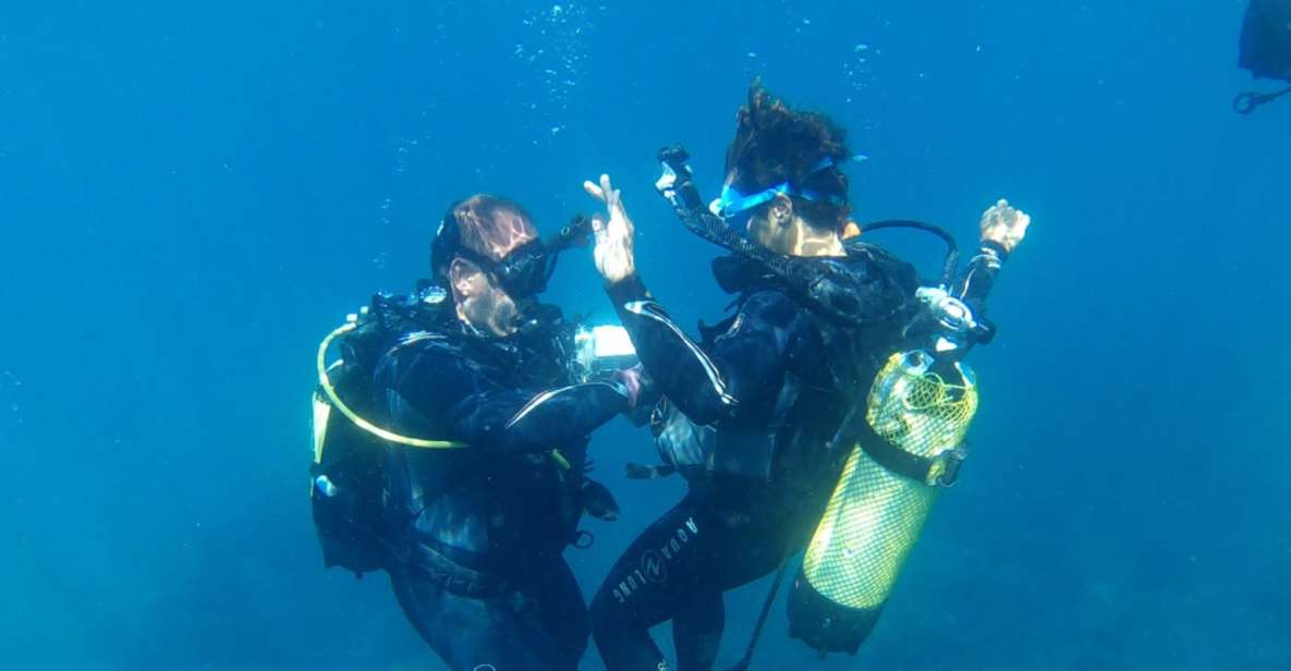 Alicante: Denia Beginners Scuba Diving Experience - The water session: going down to 6 meters with an instructor guiding every step