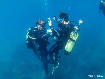 Alicante: Denia Beginners Scuba Diving Experience - What happens first: training on land (so the water feels easier)