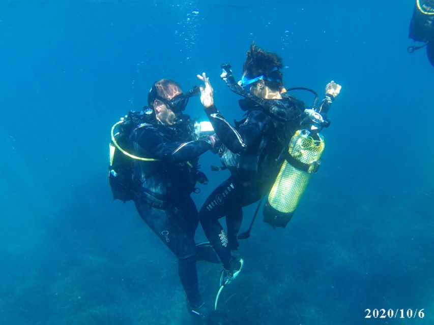 Alicante: Denia Beginners Scuba Diving Experience - What happens first: training on land (so the water feels easier)