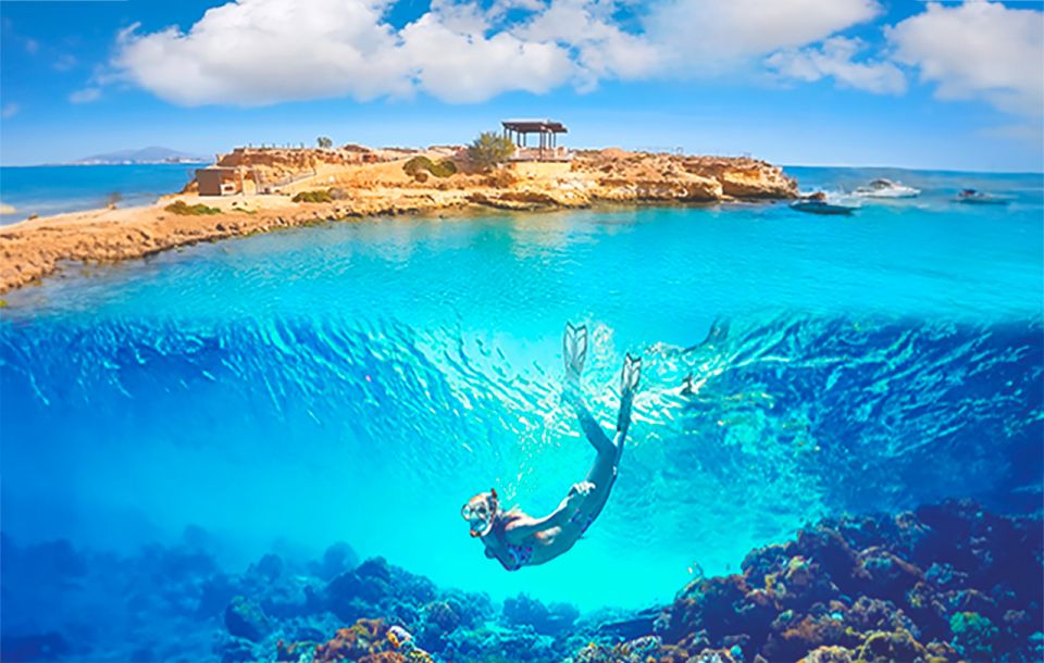 Alicante : E-Bike Coast Tour, Roman Fish Farm and Snorkeling - Key highlights to know before you go