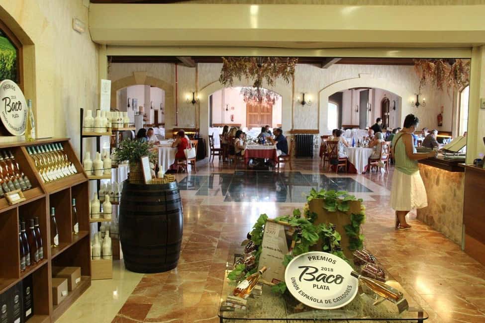 Alicante: Old Winery with Tastings & Gaudí's style of Church - Fermentation, barrels, bottling: what you’ll actually see