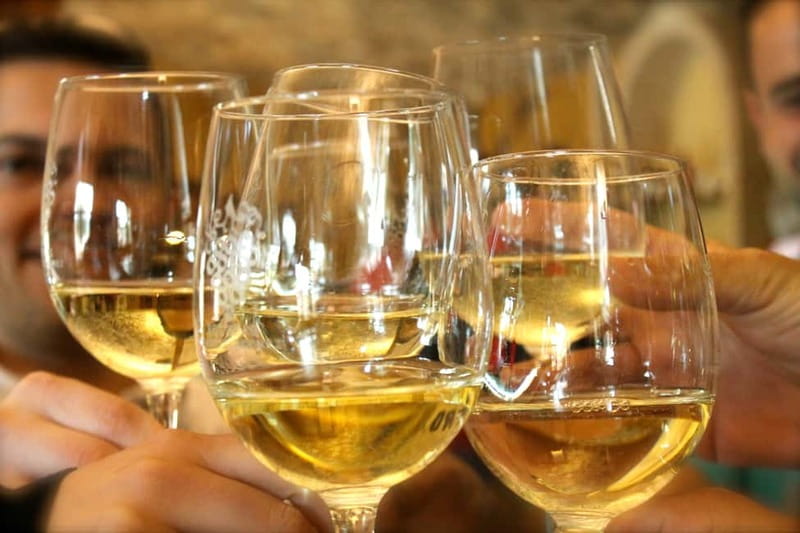 Alicante: Small-Group Countryside Wine Tour with 4 Tastings - Tasting four wines: guided pours with time to actually taste