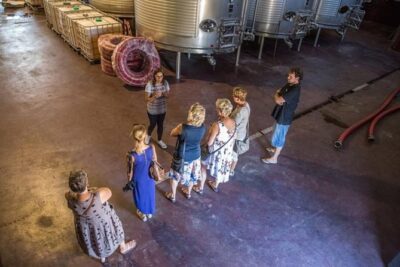 Alicante: Small-Group Countryside Wine Tour with 4 Tastings - The winery walk: vineyards, cellar, and family home atmosphere